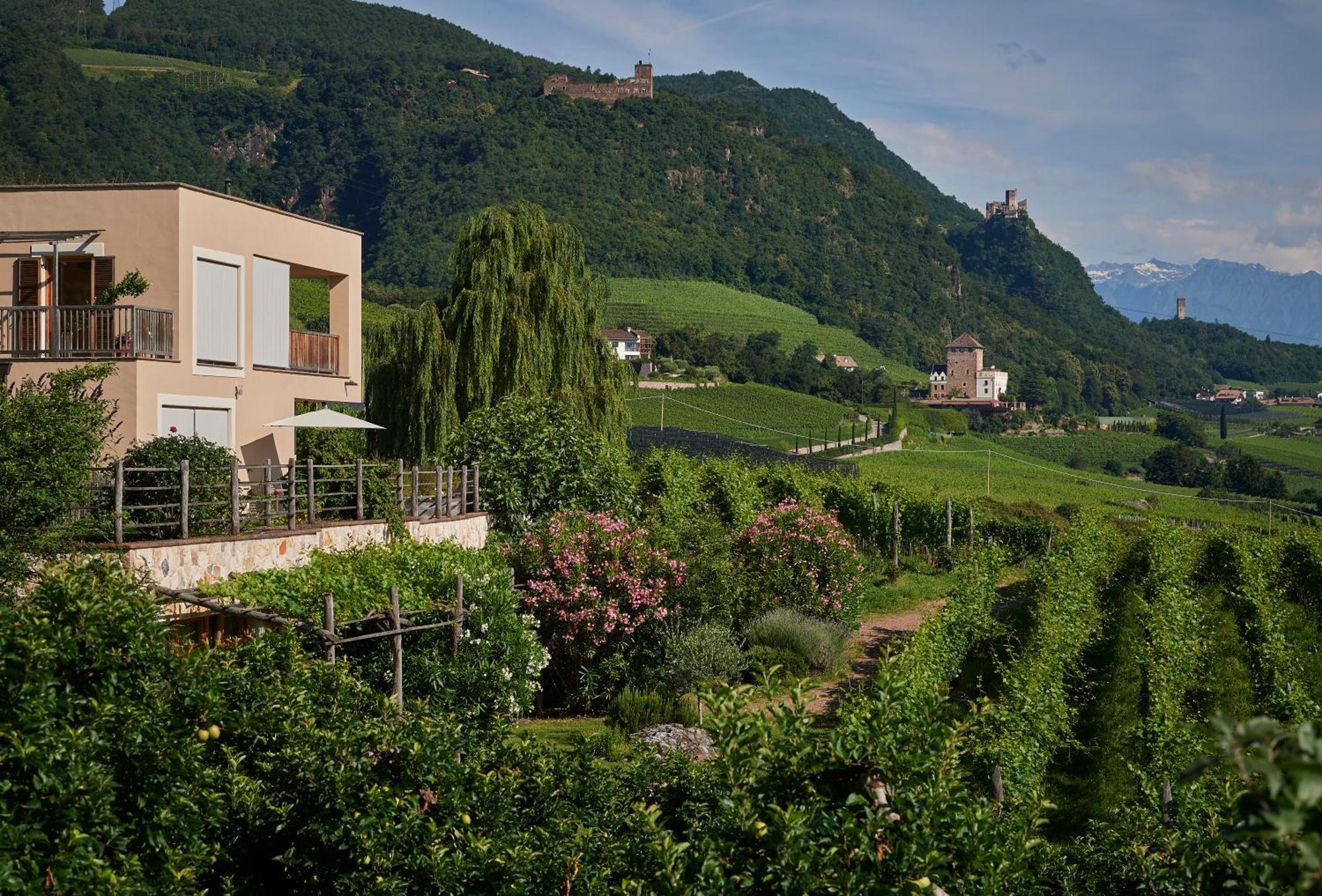 Weingut Stuck Apartment Appiano Sulla Strada Del Vino Ngoại thất bức ảnh
