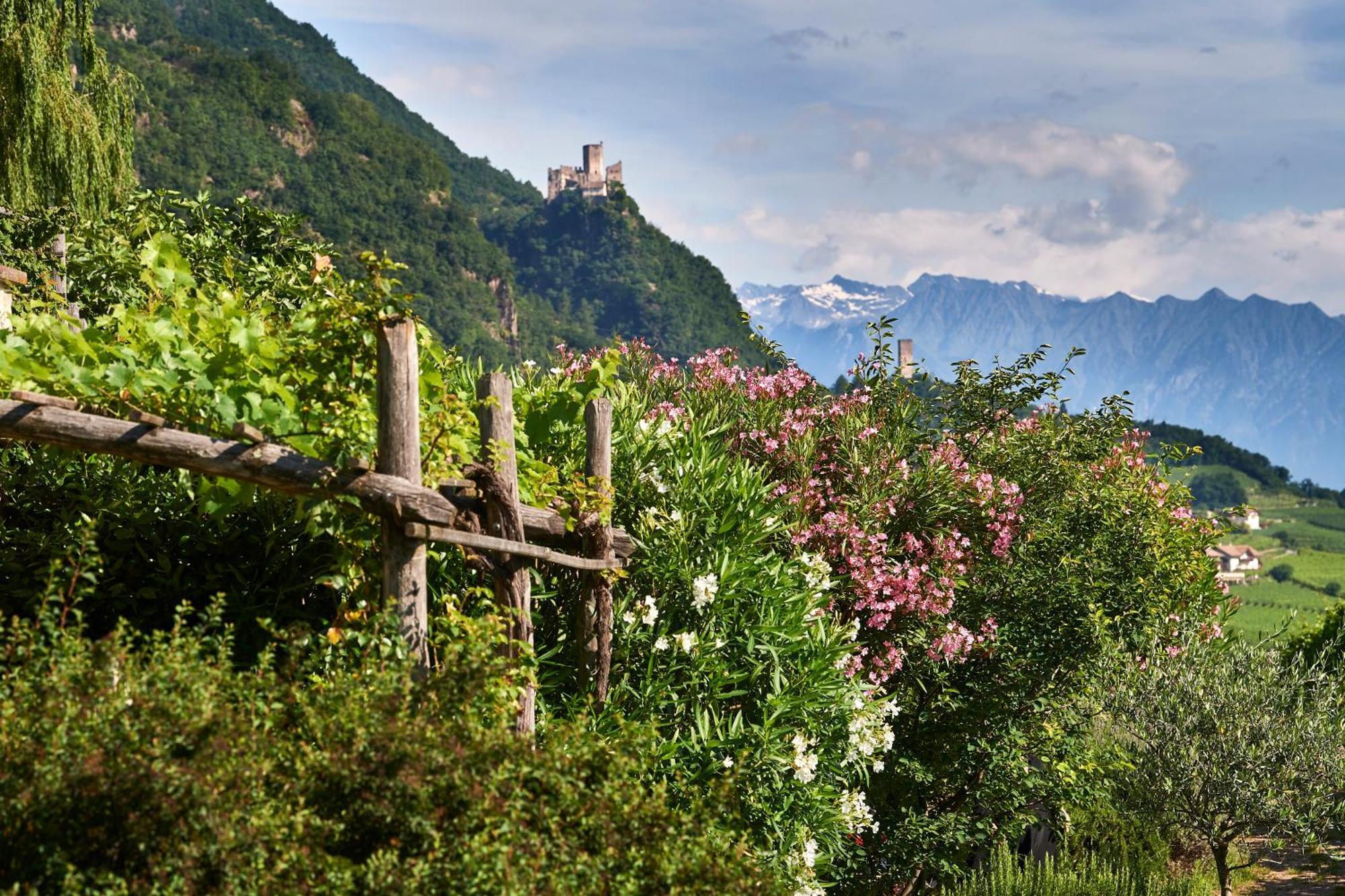 Weingut Stuck Apartment Appiano Sulla Strada Del Vino Ngoại thất bức ảnh