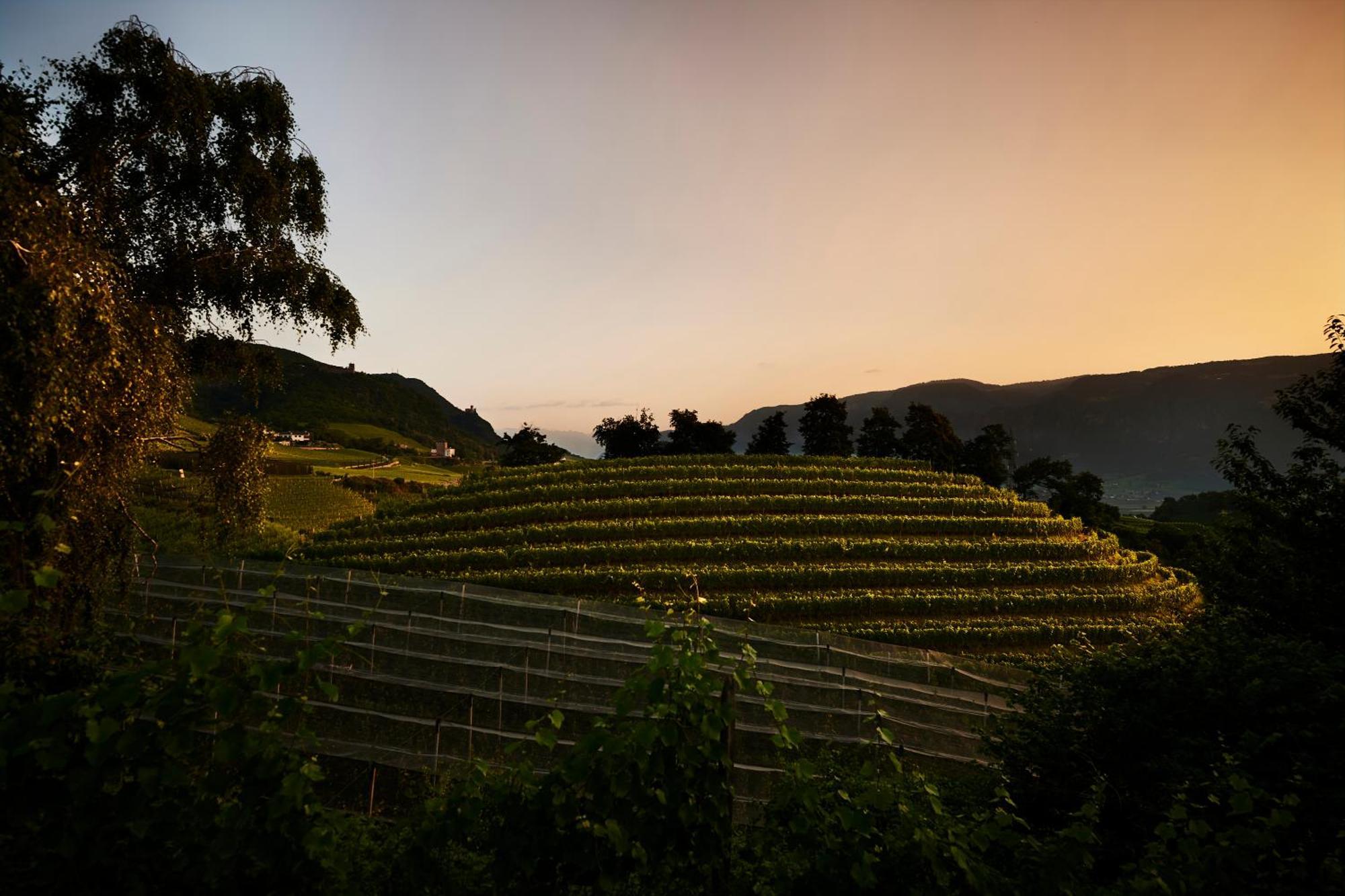 Weingut Stuck Apartment Appiano Sulla Strada Del Vino Ngoại thất bức ảnh